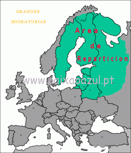 mapa_grandesmigrato